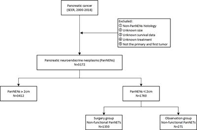 Reappraisal of a 2-cm Cutoff Size for the Management of Nonfunctional Pancreatic Neuroendocrine Tumors: A Population-Based Study